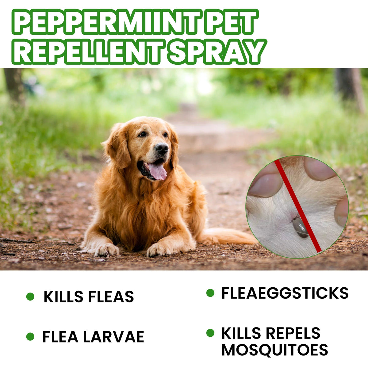 Yegbong Mint Pet Flea Repellent Spray Natural Deodorizing Formula