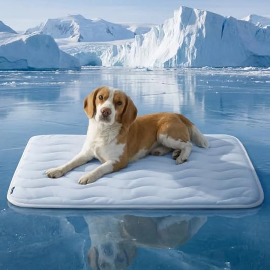 Breathable Cooling Dog Bed Washable Pet Mat For Summer Comfort
