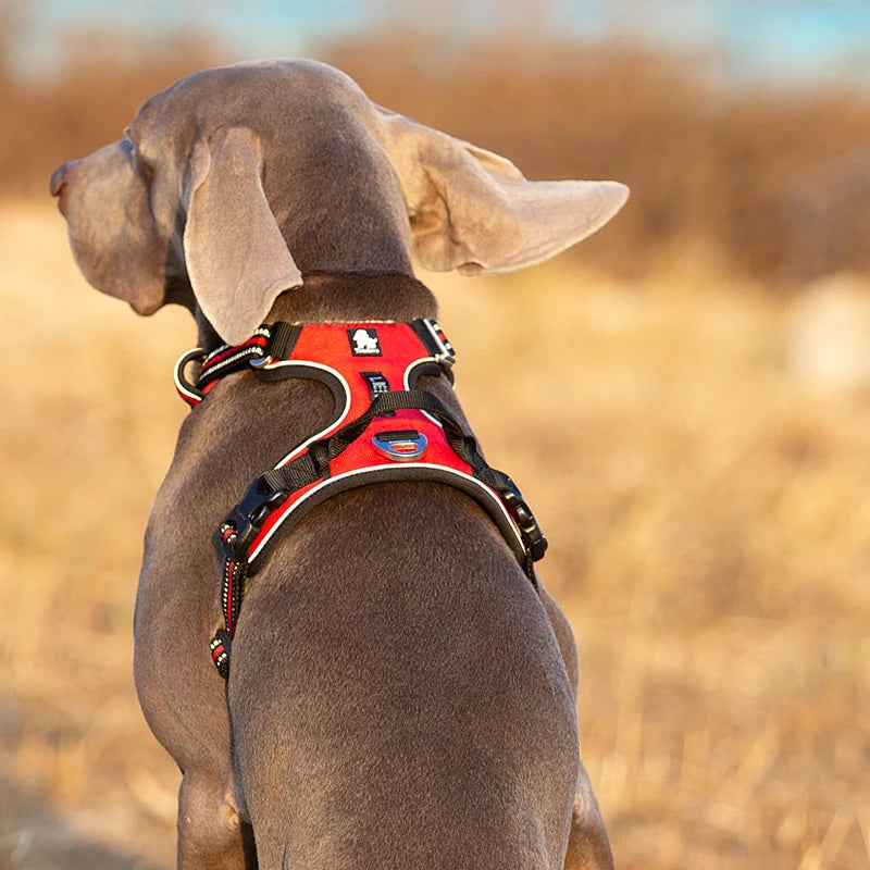 TrueLove Reflective No Pull Dog Harness For Walking And Travel