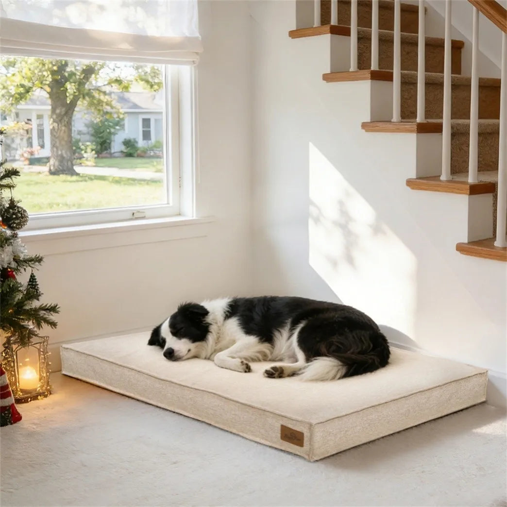 Borwart Removable Cover Calming Dog Bed With Waterproof Lining