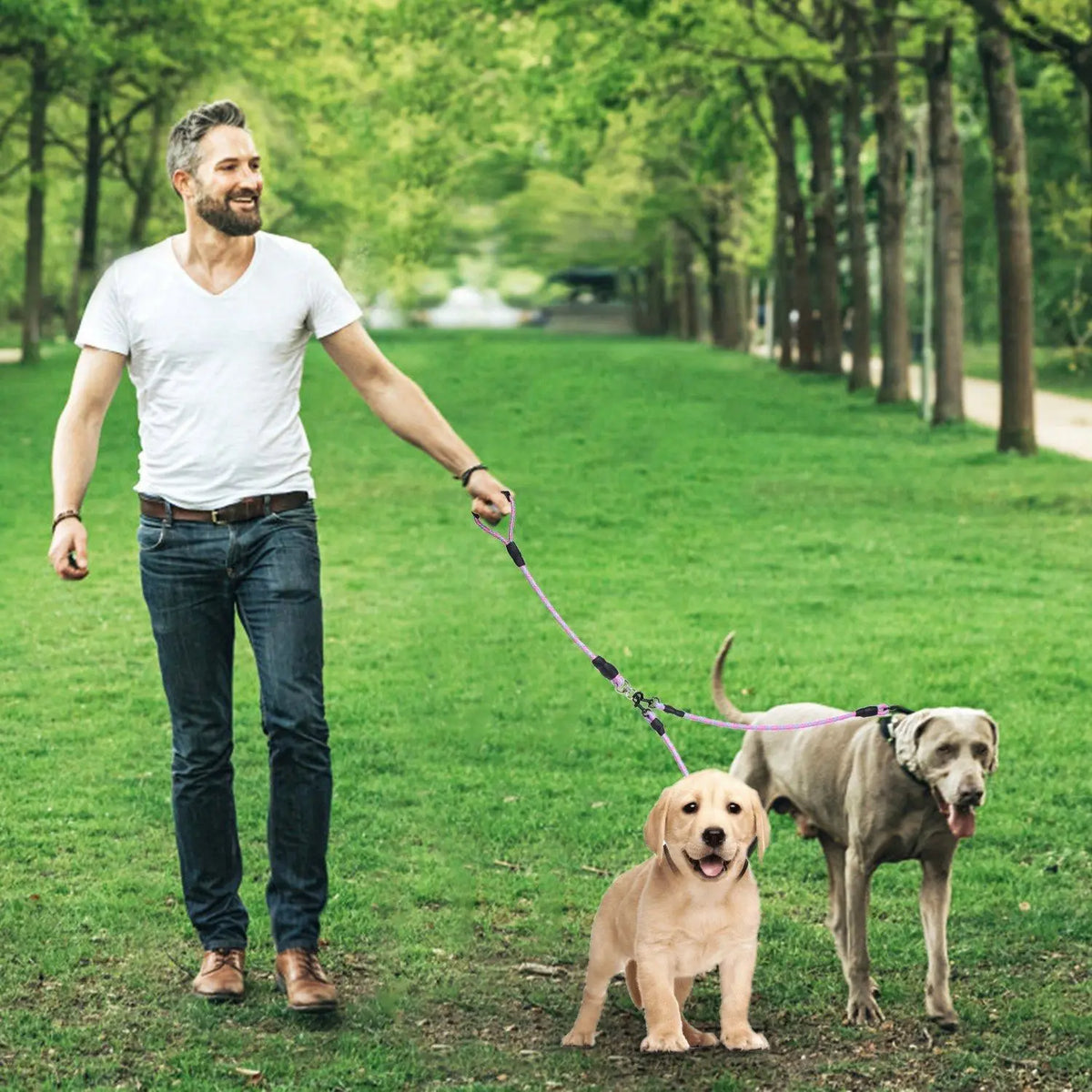 Reflective Dual Dog Leash Swivel Coupler No Tangle Padded Handle