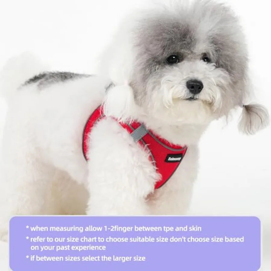 Reflective Step In Puppy Harness and Leash Set for Walking