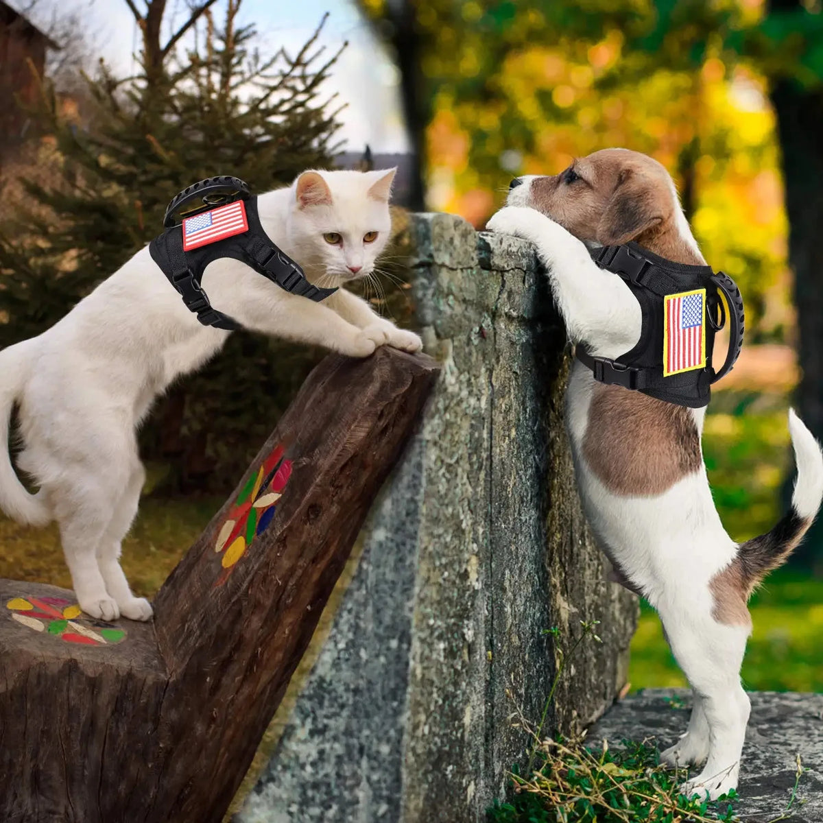 Petavel Tactical Dog Harness And Leash Set Adjustable Nylon Vest
