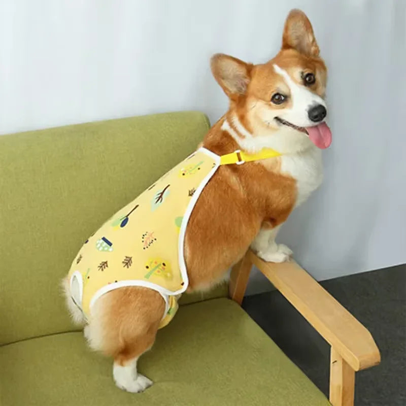 Adjustable Washable Female Dog Underwear for French Bulldogs