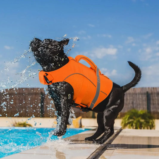 Reflective Mesh Dog Life Jacket With Ergonomic Rescue Handle
