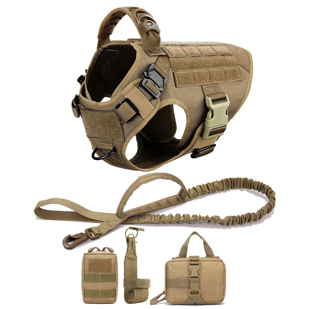 PetraVEL Padded Nylon Dog Harness And Leash Set For Pets