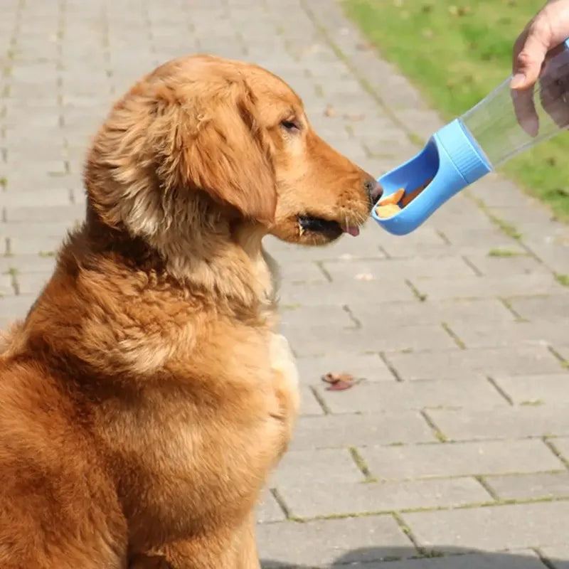 Portable Two In One Pet Water Bottle With Food Container