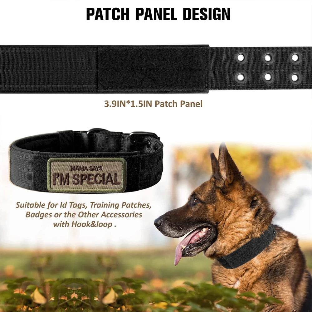 Durable Nylon Tactical Dog Collar For Outdoor Pet Training