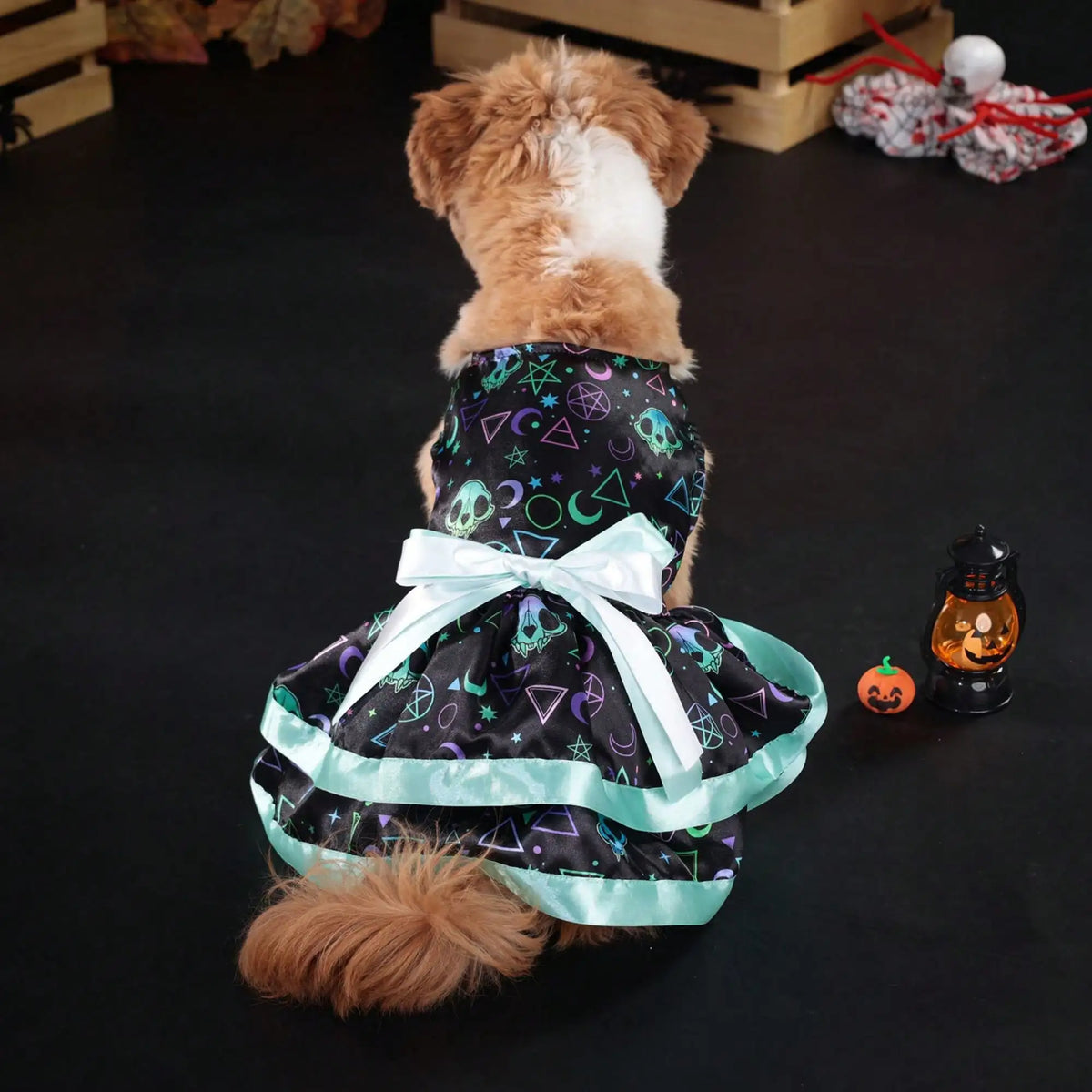 Funny Pumpkin And Skull Print Bowknot Dog Halloween Dress