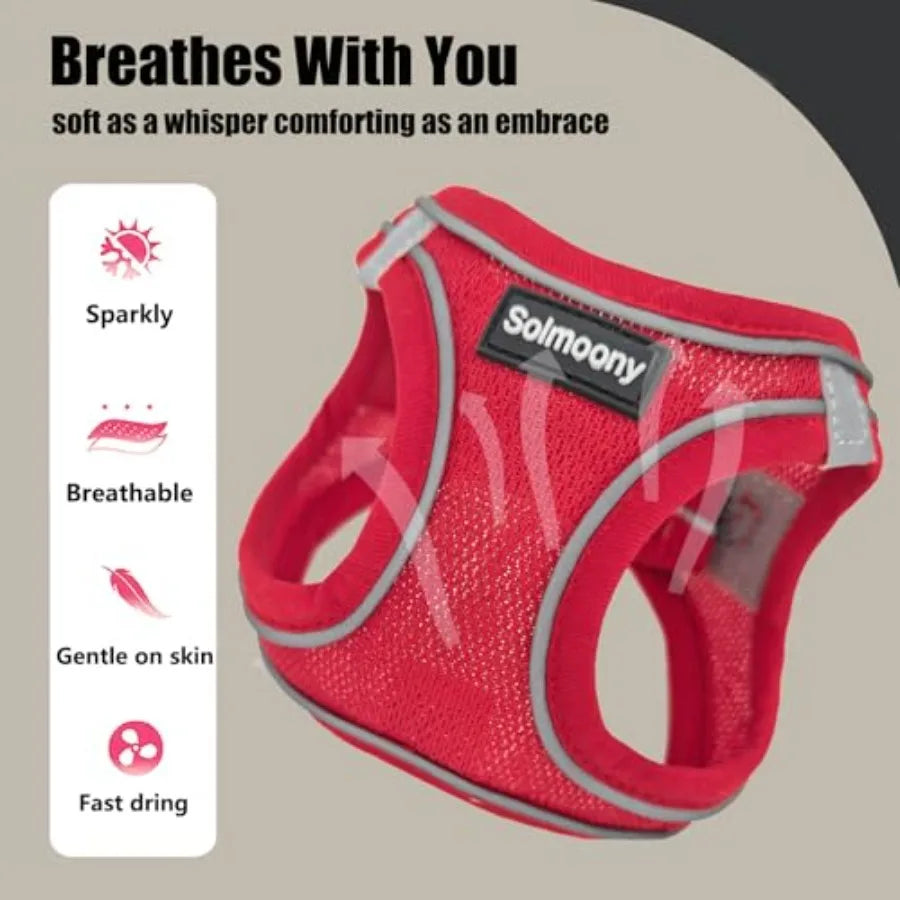 Reflective Step In Puppy Harness and Leash Set for Walking