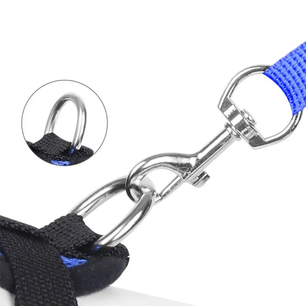 Reflective Pet Harness and Leash Set for Cats and Dogs
