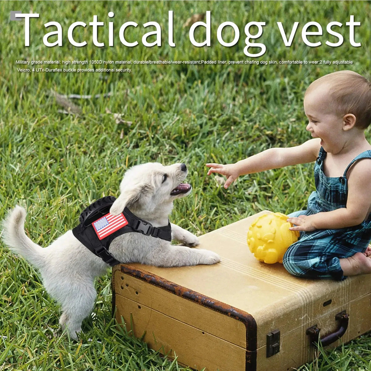 Petavel Tactical Dog Harness And Leash Set Adjustable Nylon Vest