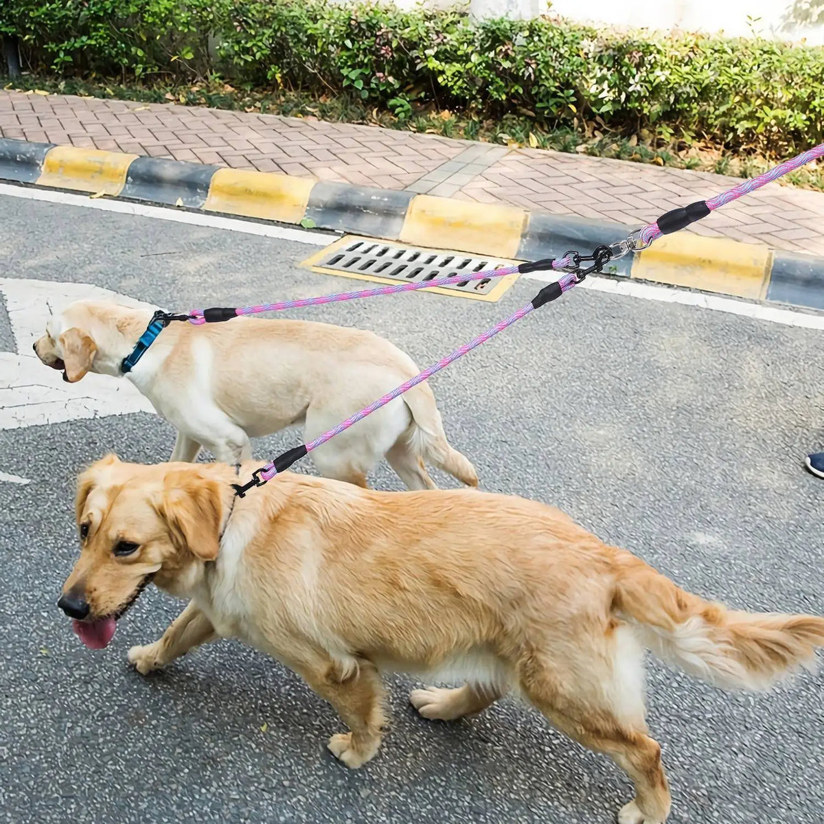 Reflective Dual Dog Leash Swivel Coupler No Tangle Padded Handle