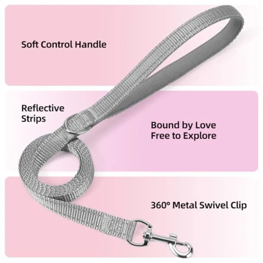 Reflective Step In Puppy Harness and Leash Set for Walking