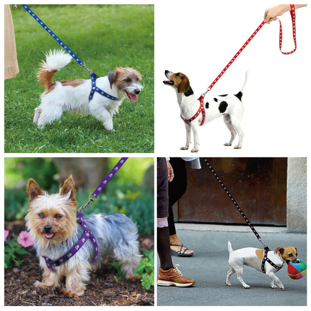 Durable Adjustable Paw Print Dog Harness and Leash Set