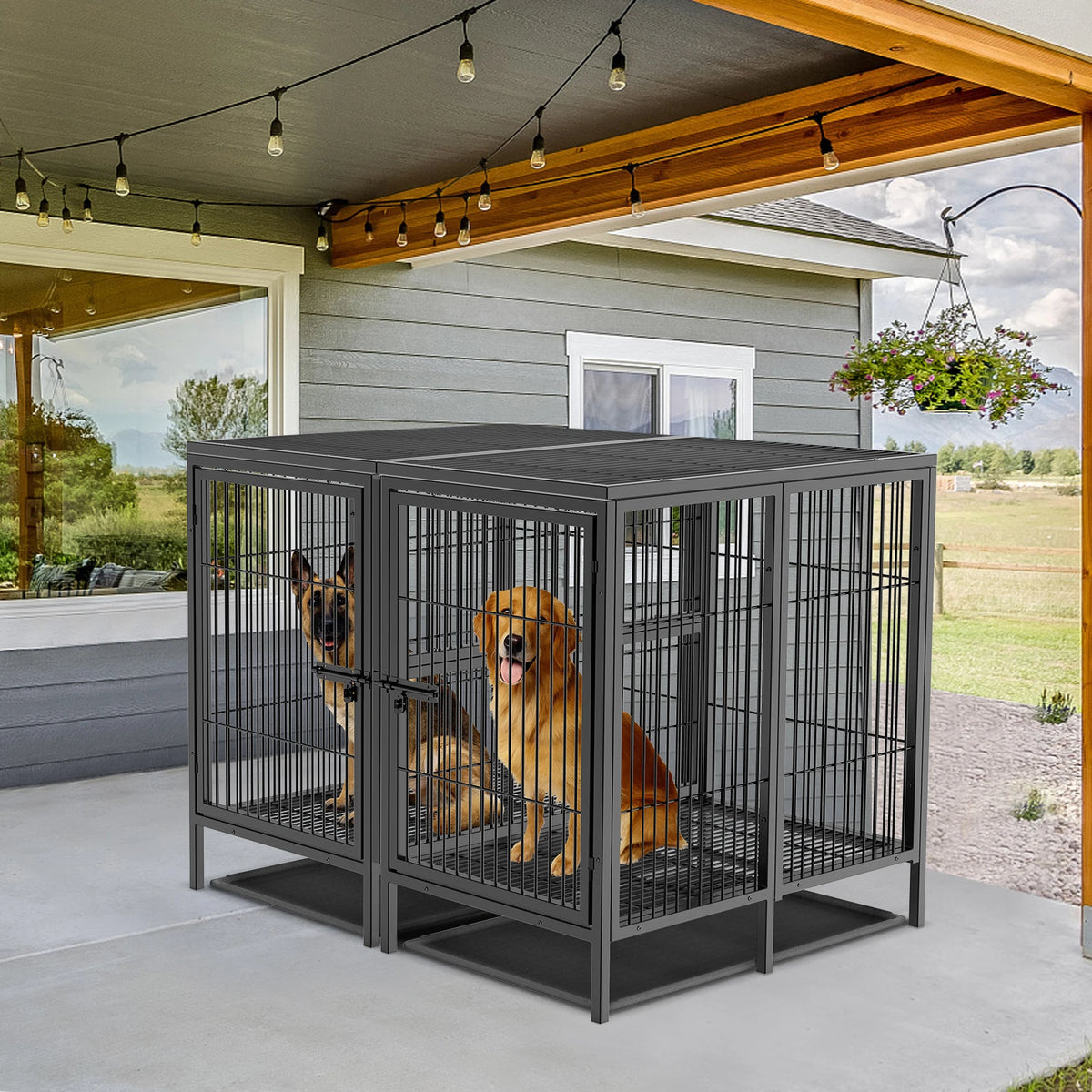 Bingopaw Heavy Duty Metal Dog Cage With Divider Playpen