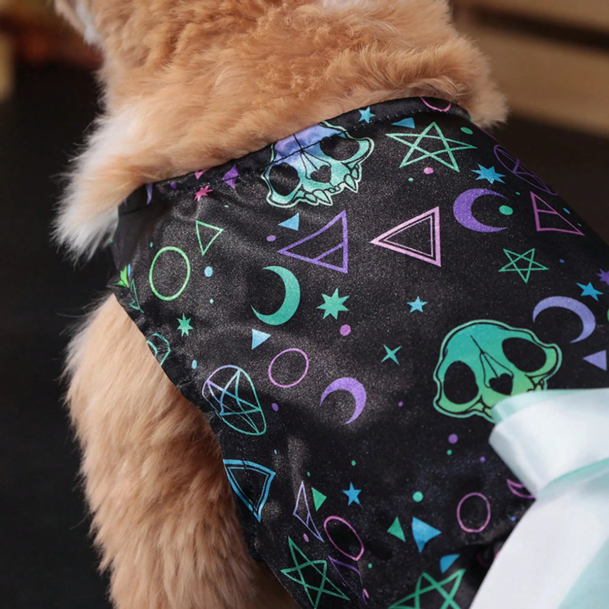 Funny Pumpkin And Skull Print Bowknot Dog Halloween Dress