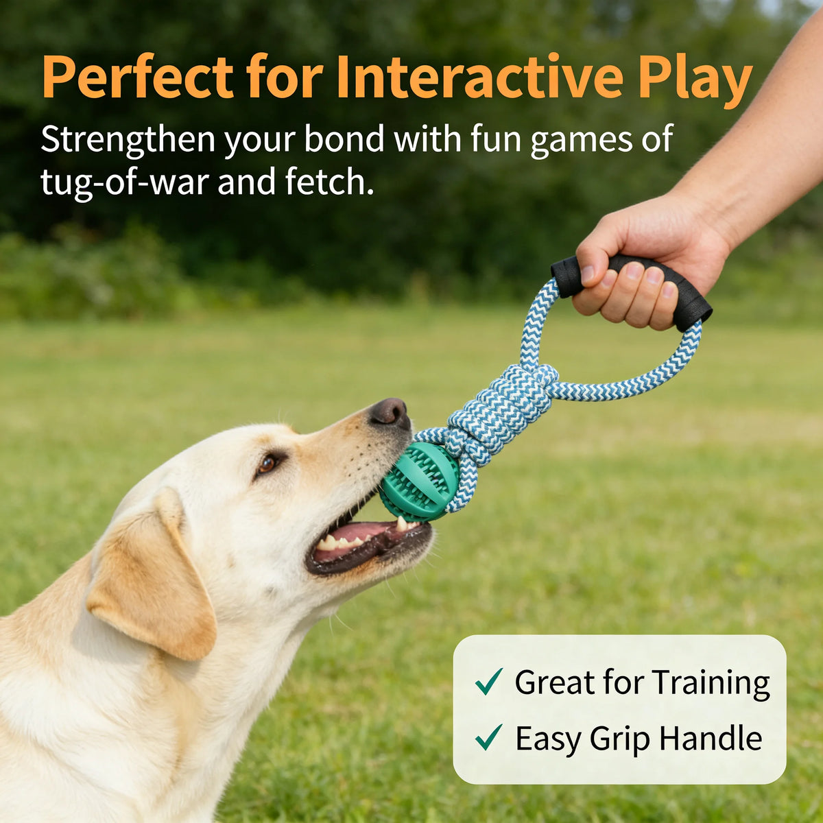 Rubber Dog Chew Toy With Treat Dispenser And Cotton Rope