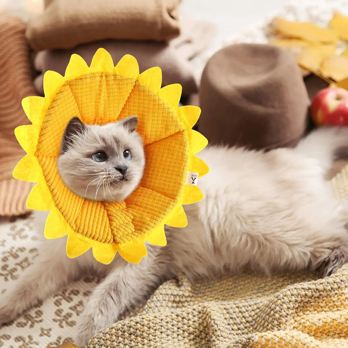 Sunflower Cat Recovery Cone Collar Soft Adjustable Elizabethan Design