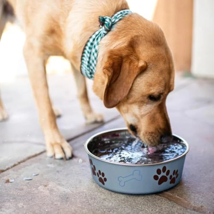 Stainless Steel Spill Proof Dog And Cat Bowls For Pets