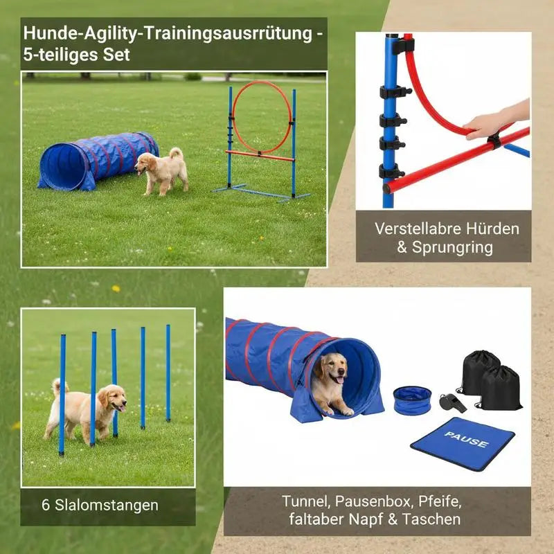 Comprehensive Dog Agility Training Obstacle Course Kit With Hurdles