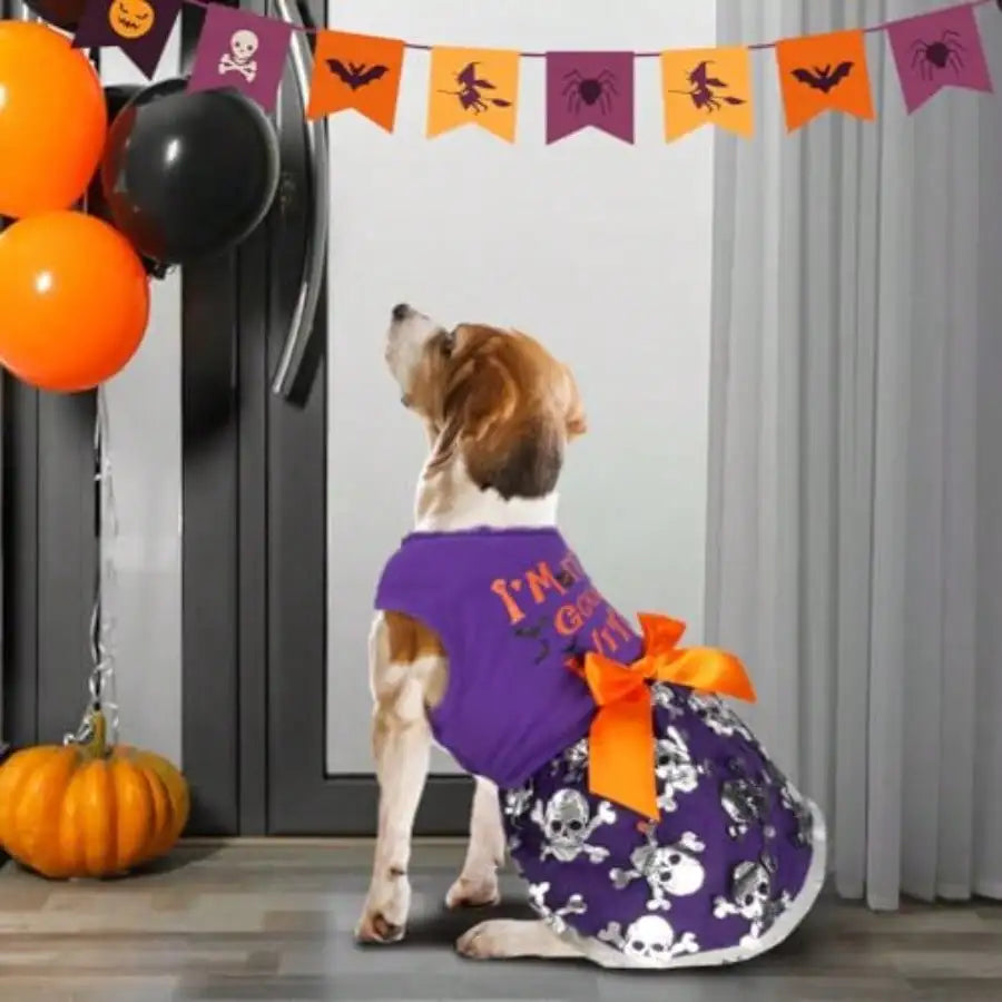 Funny Dog Halloween Witch Costume Dress With Bow For Pets