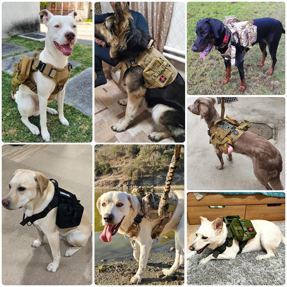 Petravel Tactical Dog Harness Leash Set With Quick Release Handle