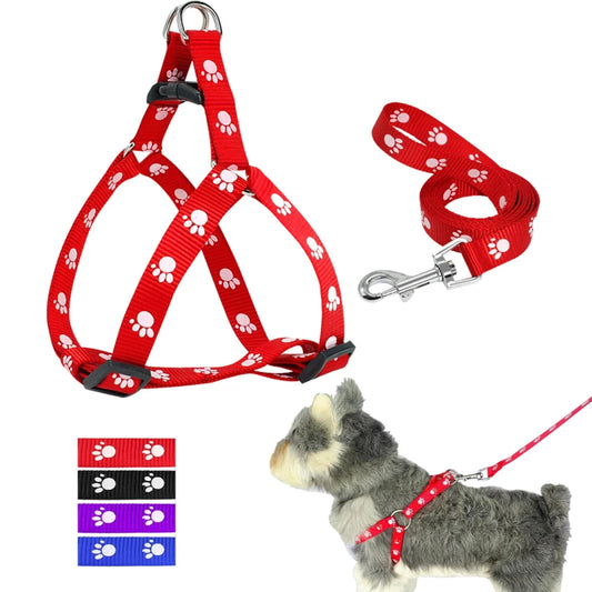 Durable Adjustable Paw Print Dog Harness and Leash Set
