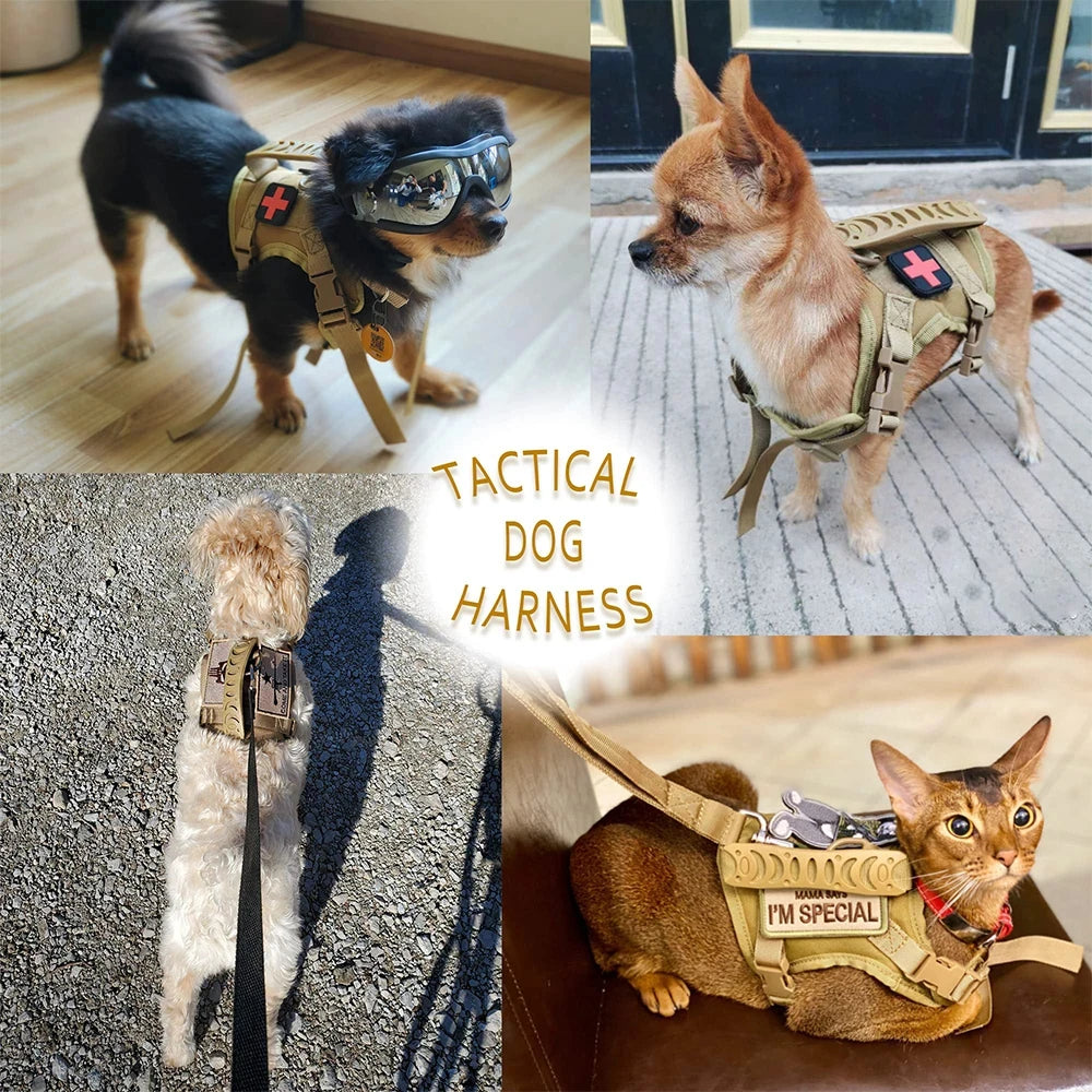 PetraVel Tactical Adjustable Dog And Cat Harness With Leash Set