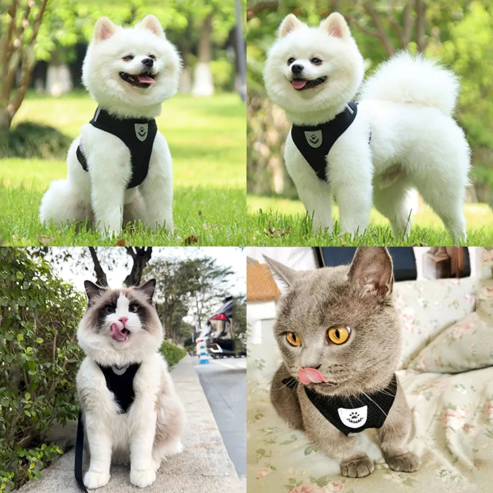 Reflective Pet Harness and Leash Set for Cats and Dogs