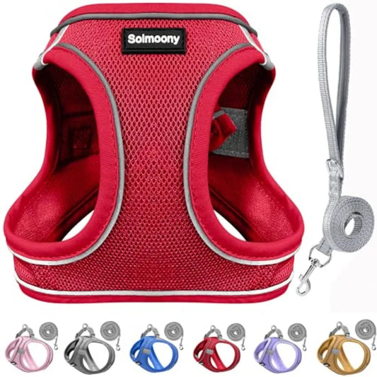 Reflective Step In Puppy Harness and Leash Set for Walking