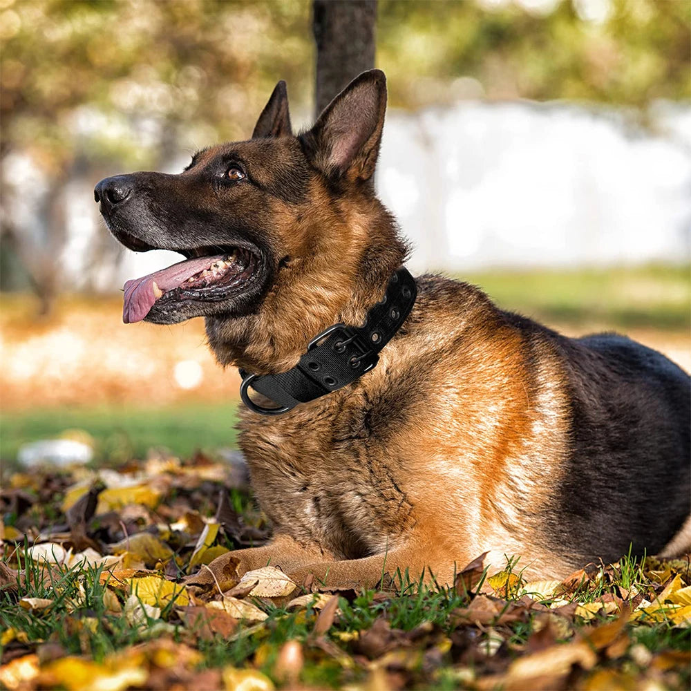 Durable Nylon Tactical Dog Collar For Outdoor Pet Training